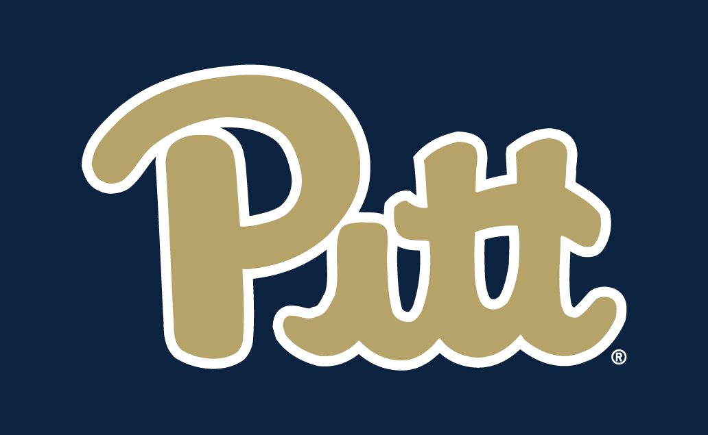 Pittsburgh Panthers 2016-2018 Alternate Logo v2 t shirts iron on transfers